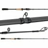 Abu Garcia Fantasista Premier Casting Rods -Freshwater Rods & Poles Sale abu garcia fantasista premier casting rods 86858.1661806073