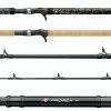 Daiwa Prorex Muskie Rods -Freshwater Rods & Poles Sale daiwa prorex muskie rods 61837.1651267189