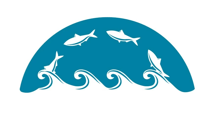 Freshwater Rods & Poles Sale